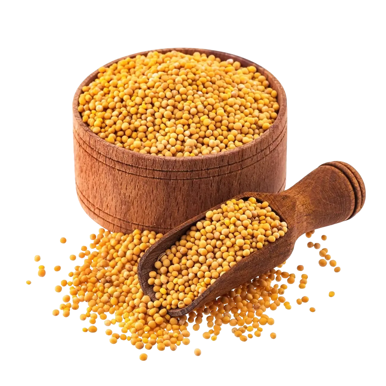 Mustard Seed