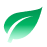 Leaf Icon